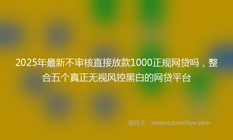 2025年最新不审核直接放款1000正规网贷吗，整合五个真正无视风控黑白的网贷平台