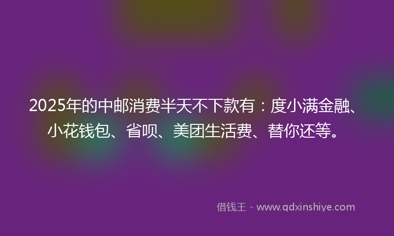 2025年的中邮消费半天不下款有：度小满金融、小花钱包、省呗、美团生活费、替你还等。