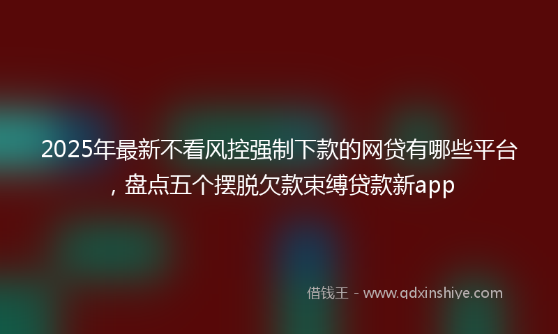 2025年最新不看风控强制下款的网贷有哪些平台，盘点五个摆脱欠款束缚贷款新app