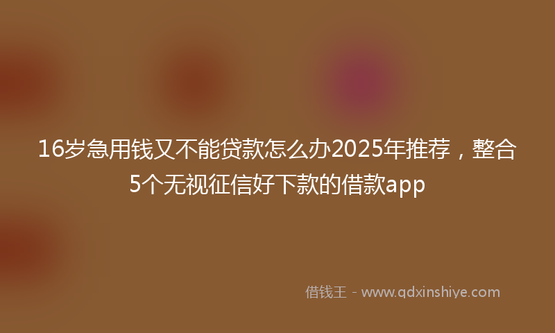 16岁急用钱又不能贷款怎么办2025年推荐，整合5个无视征信好下款的借款app