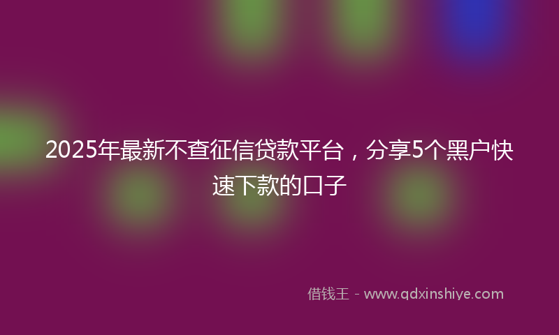 2025年最新不查征信贷款平台，分享5个黑户快速下款的口子