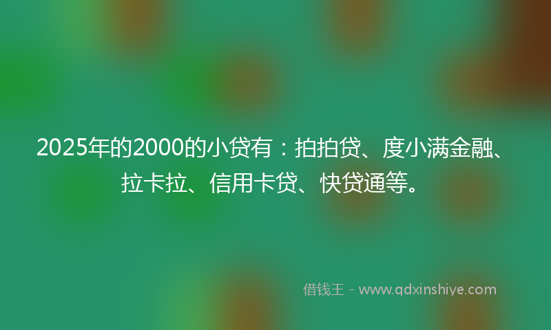 2025年的2000的小贷有：拍拍贷、度小满金融、拉卡拉、信用卡贷、快贷通等。