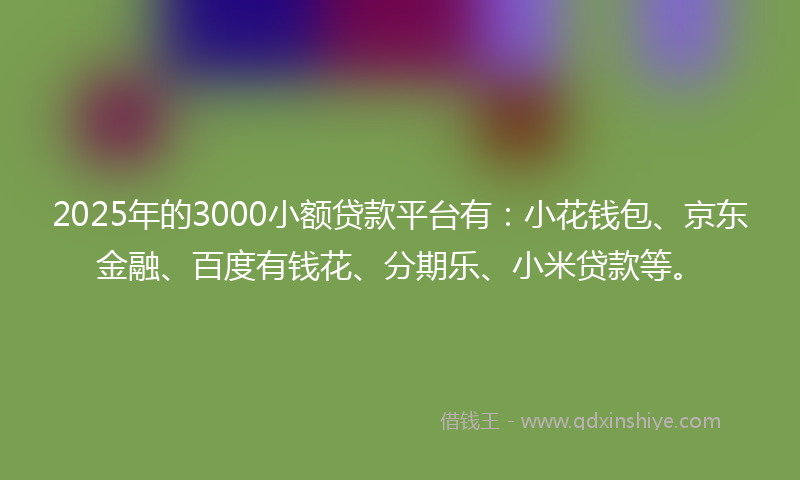 2025年的3000小额贷款平台有：小花钱包、京东金融、百度有钱花、分期乐、小米贷款等。
