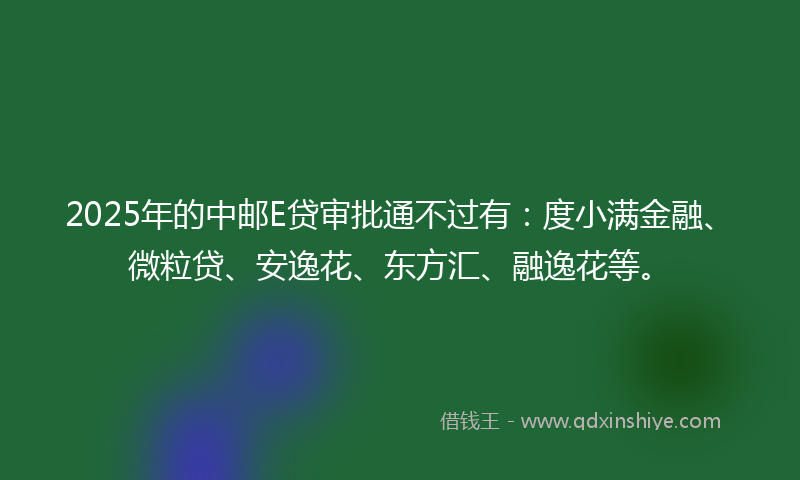 2025年的中邮E贷审批通不过有：度小满金融、微粒贷、安逸花、东方汇、融逸花等。