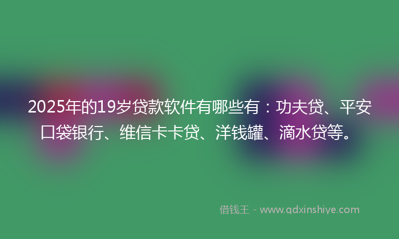 2025年的19岁贷款软件有哪些有：功夫贷、平安口袋银行、维信卡卡贷、洋钱罐、滴水贷等。