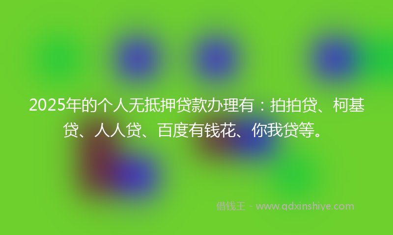 2025年的个人无抵押贷款办理有：拍拍贷、柯基贷、人人贷、百度有钱花、你我贷等。