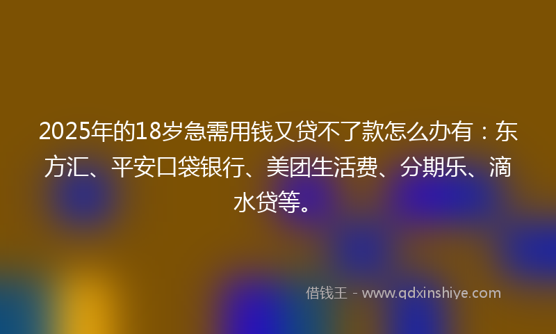 2025年的18岁急需用钱又贷不了款怎么办有：东方汇、平安口袋银行、美团生活费、分期乐、滴水贷等。