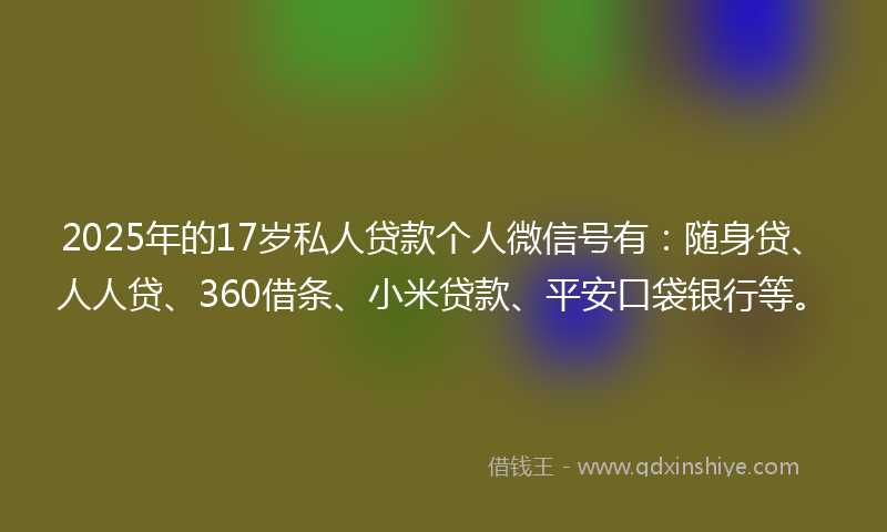 2025年的17岁私人贷款个人微信号有：随身贷、人人贷、360借条、小米贷款、平安口袋银行等。