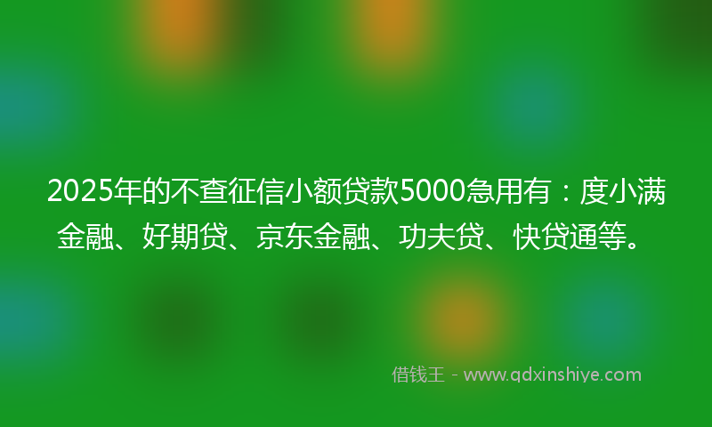 2025年的不查征信小额贷款5000急用有：度小满金融、好期贷、京东金融、功夫贷、快贷通等。