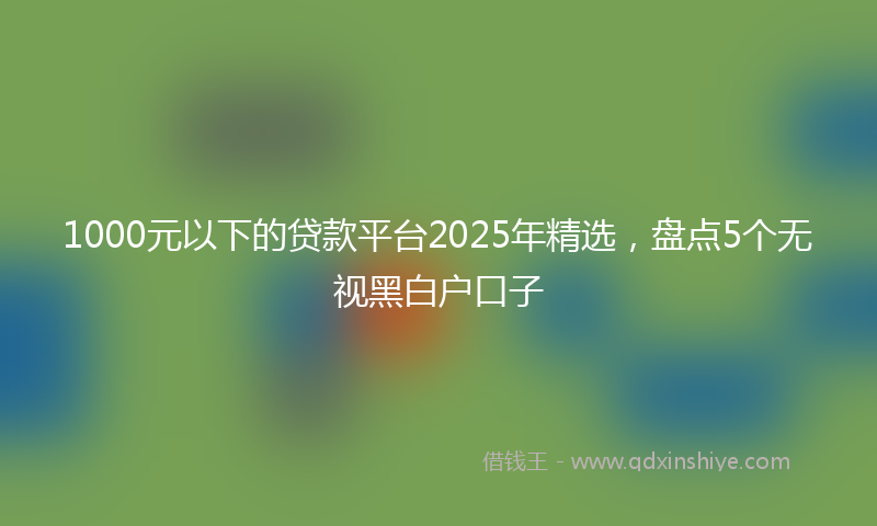 1000元以下的贷款平台2025年精选，盘点5个无视黑白户口子