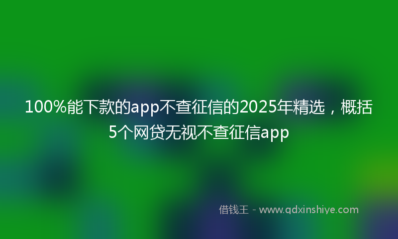 100%能下款的app不查征信的2025年精选，概括5个网贷无视不查征信app