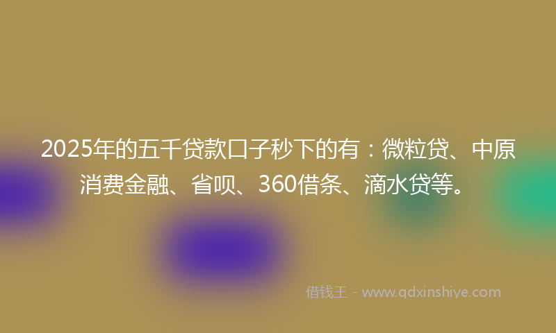 2025年的五千贷款口子秒下的有：微粒贷、中原消费金融、省呗、360借条、滴水贷等。