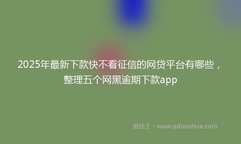 2025年最新下款快不看征信的网贷平台有哪些，整理五个网黑逾期下款app