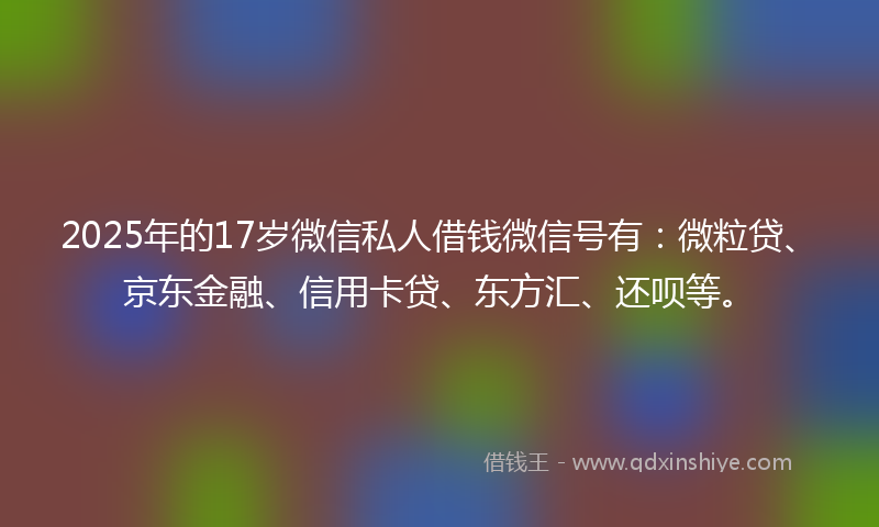 2025年的17岁微信私人借钱微信号有：微粒贷、京东金融、信用卡贷、东方汇、还呗等。