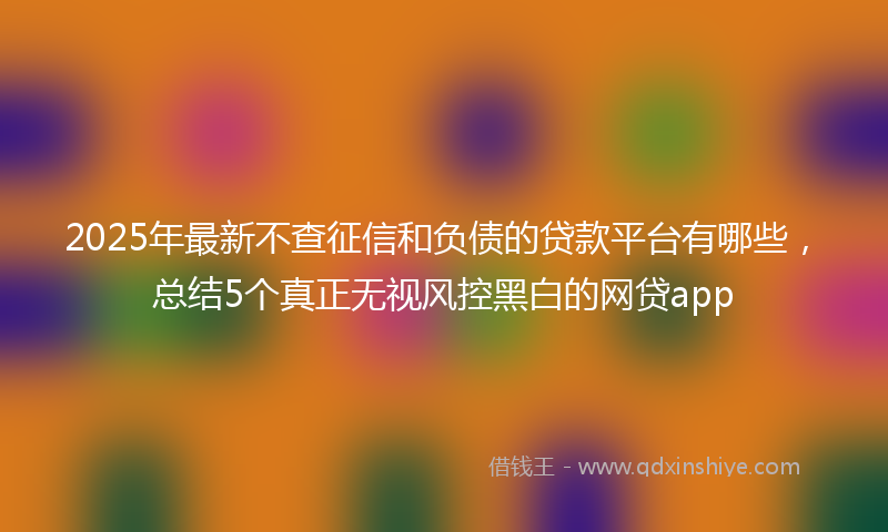 2025年最新不查征信和负债的贷款平台有哪些，总结5个真正无视风控黑白的网贷app