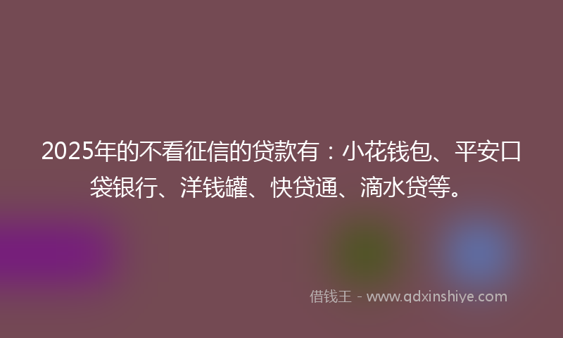 2025年的不看征信的贷款有：小花钱包、平安口袋银行、洋钱罐、快贷通、滴水贷等。