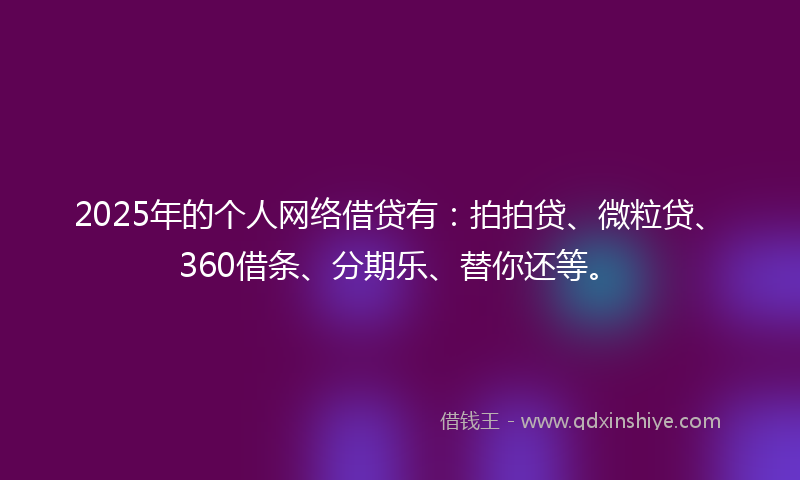 2025年的个人网络借贷有：拍拍贷、微粒贷、360借条、分期乐、替你还等。