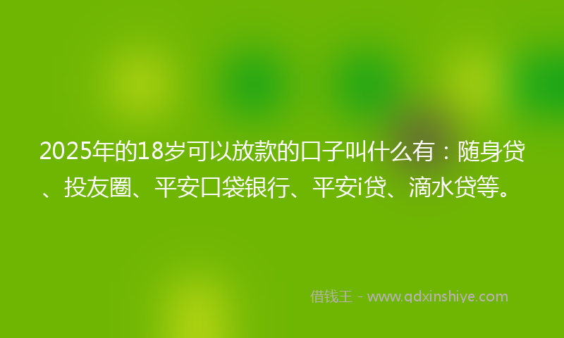 2025年的18岁可以放款的口子叫什么有：随身贷、投友圈、平安口袋银行、平安i贷、滴水贷等。