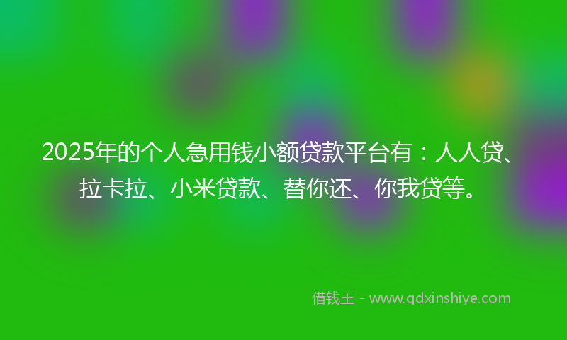 2025年的个人急用钱小额贷款平台有：人人贷、拉卡拉、小米贷款、替你还、你我贷等。