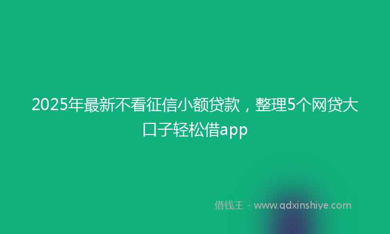 2025年最新不看征信小额贷款，整理5个网贷大口子轻松借app