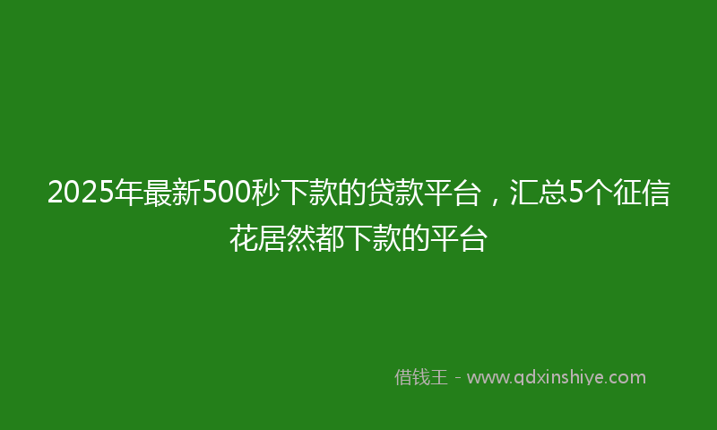 2025年最新500秒下款的贷款平台，汇总5个征信花居然都下款的平台