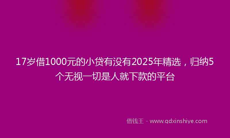 17岁借1000元的小贷有没有2025年精选，归纳5个无视一切是人就下款的平台