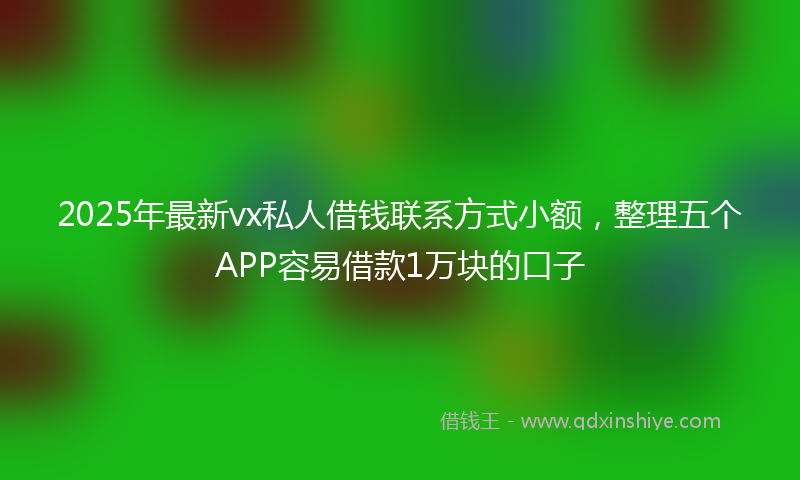 2025年最新vx私人借钱联系方式小额，整理五个APP容易借款1万块的口子