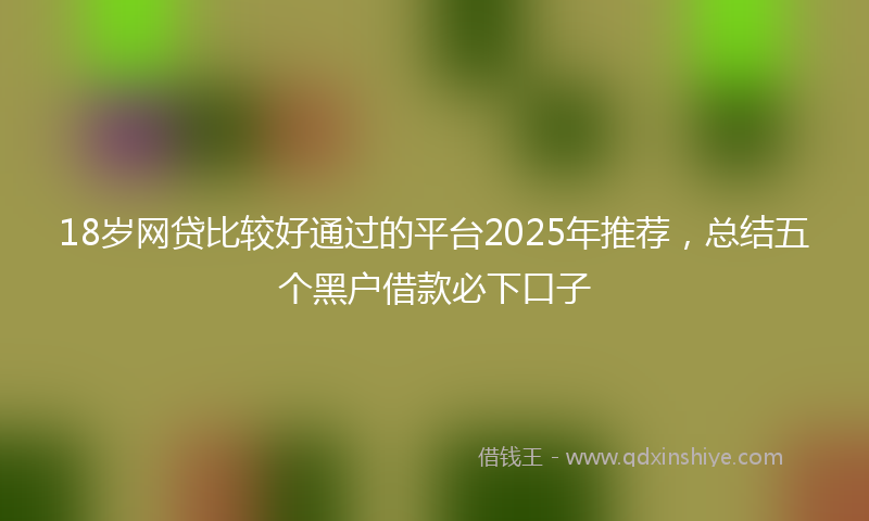 18岁网贷比较好通过的平台2025年推荐，总结五个黑户借款必下口子