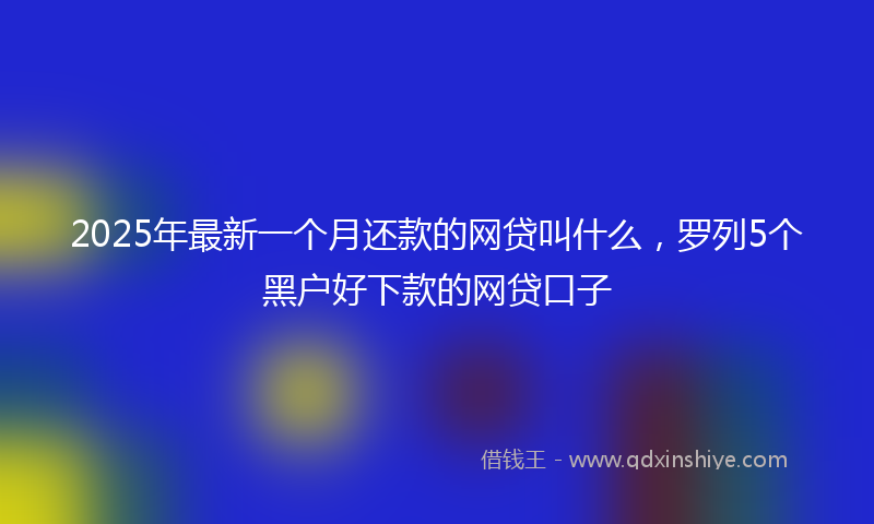 2025年最新一个月还款的网贷叫什么，罗列5个黑户好下款的网贷口子