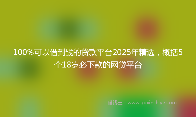 100%可以借到钱的贷款平台2025年精选，概括5个18岁必下款的网贷平台