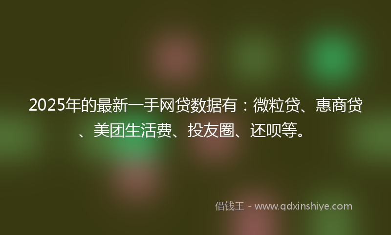 2025年的最新一手网贷数据有：微粒贷、惠商贷、美团生活费、投友圈、还呗等。