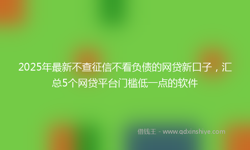 2025年最新不查征信不看负债的网贷新口子，汇总5个网贷平台门槛低一点的软件