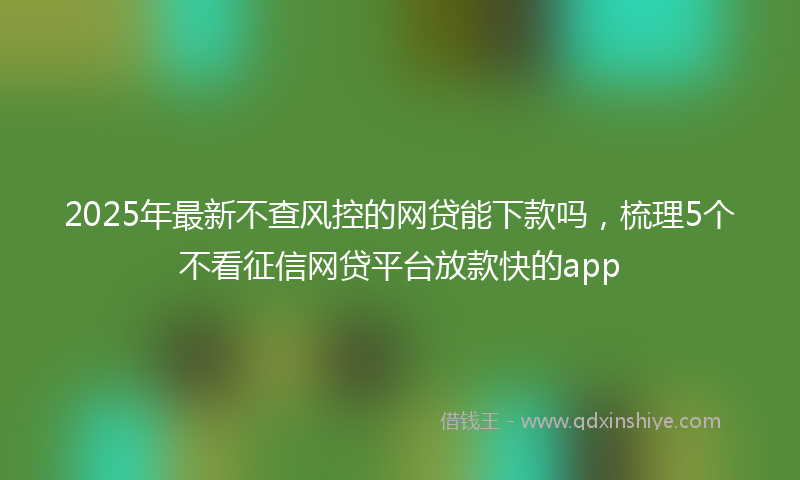 2025年最新不查风控的网贷能下款吗，梳理5个不看征信网贷平台放款快的app