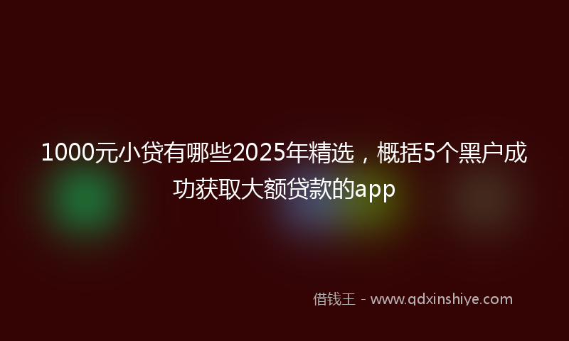 1000元小贷有哪些2025年精选，概括5个黑户成功获取大额贷款的app