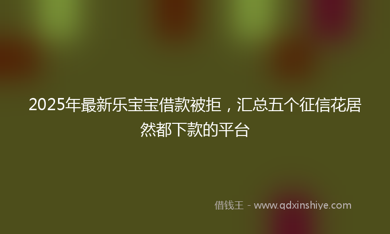2025年最新乐宝宝借款被拒，汇总五个征信花居然都下款的平台