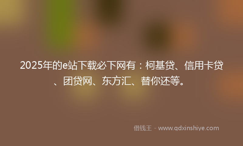2025年的e站下载必下网有：柯基贷、信用卡贷、团贷网、东方汇、替你还等。