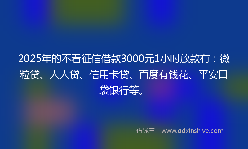 2025年的不看征信借款3000元1小时放款有：微粒贷、人人贷、信用卡贷、百度有钱花、平安口袋银行等。