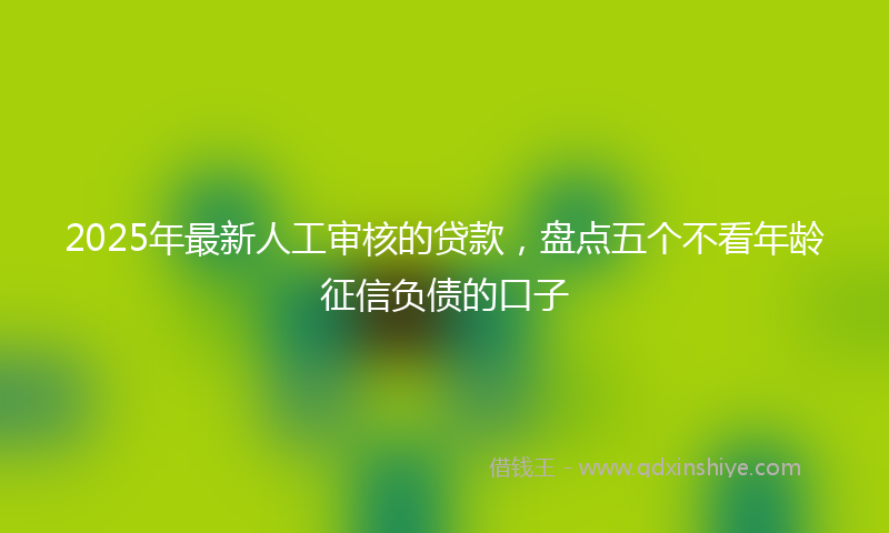 2025年最新人工审核的贷款，盘点五个不看年龄征信负债的口子
