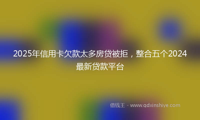 2025年信用卡欠款太多房贷被拒，整合五个2024最新贷款平台