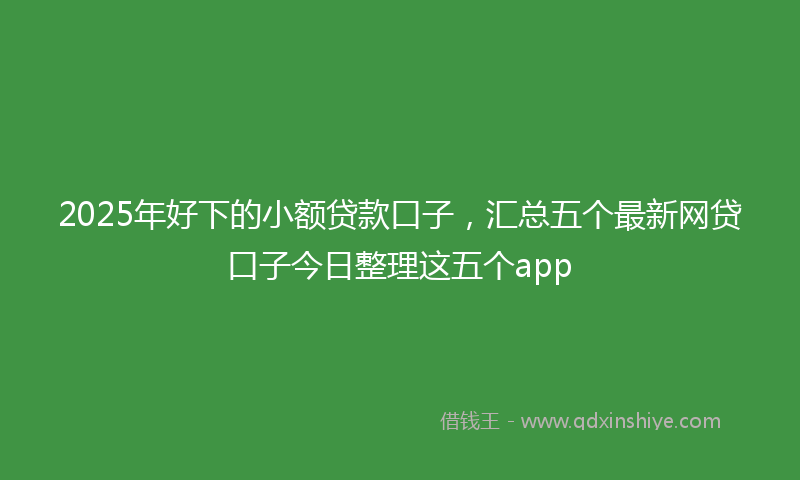 2025年好下的小额贷款口子，汇总五个最新网贷口子今日整理这五个app