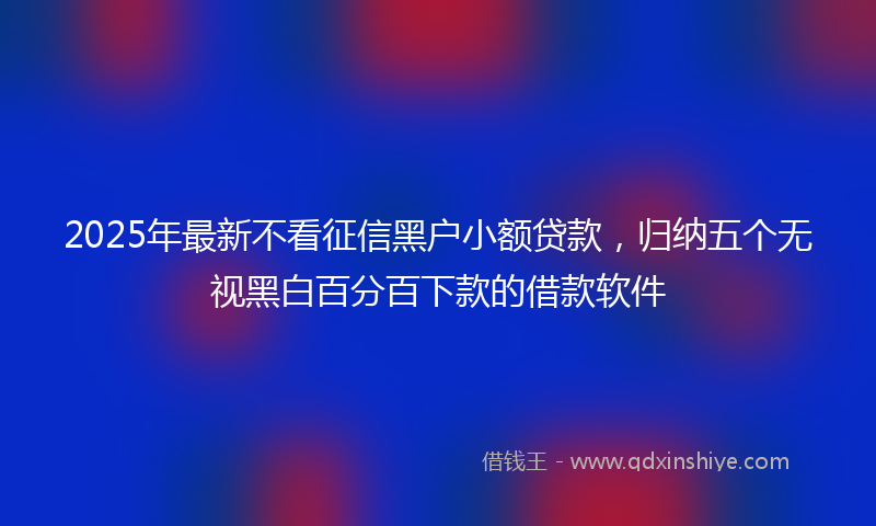2025年最新不看征信黑户小额贷款，归纳五个无视黑白百分百下款的借款软件