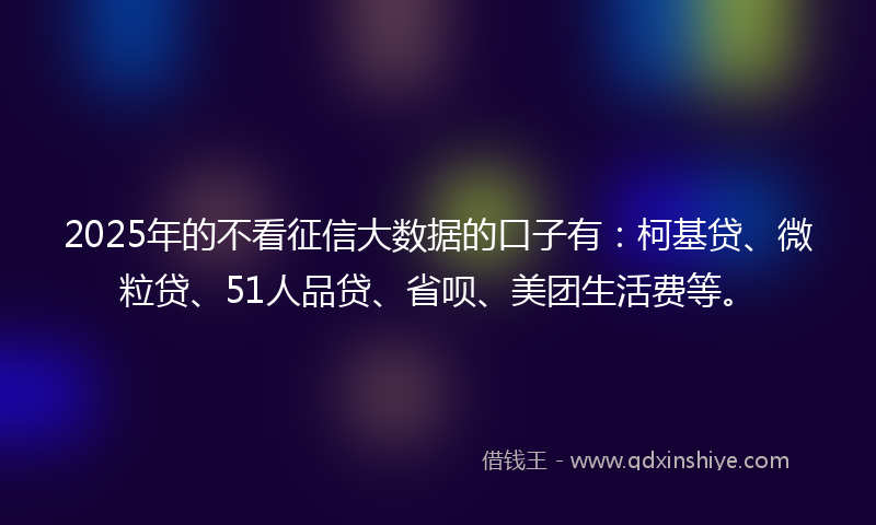 2025年的不看征信大数据的口子有：柯基贷、微粒贷、51人品贷、省呗、美团生活费等。