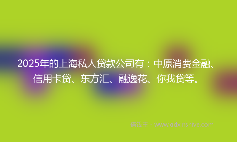2025年的上海私人贷款公司有：中原消费金融、信用卡贷、东方汇、融逸花、你我贷等。