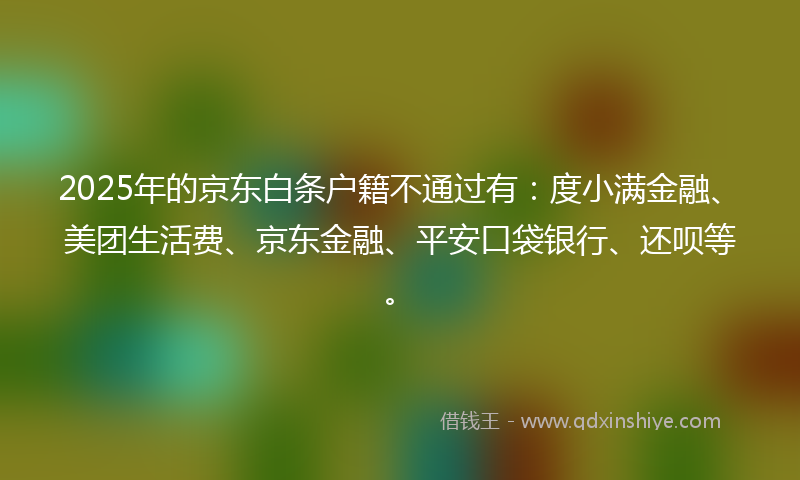 2025年的京东白条户籍不通过有：度小满金融、美团生活费、京东金融、平安口袋银行、还呗等。