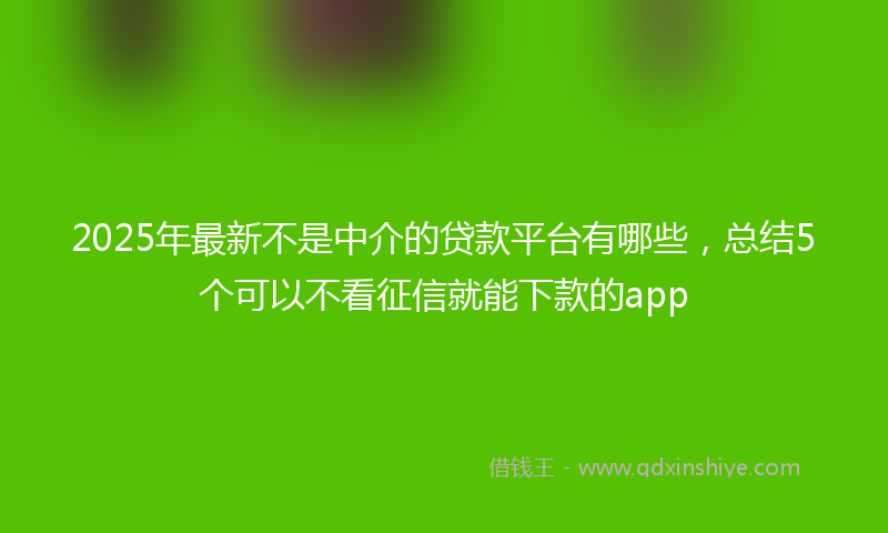 2025年最新不是中介的贷款平台有哪些，总结5个可以不看征信就能下款的app