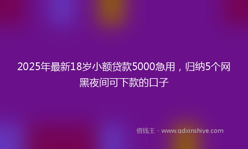 2025年最新18岁小额贷款5000急用，归纳5个网黑夜间可下款的口子