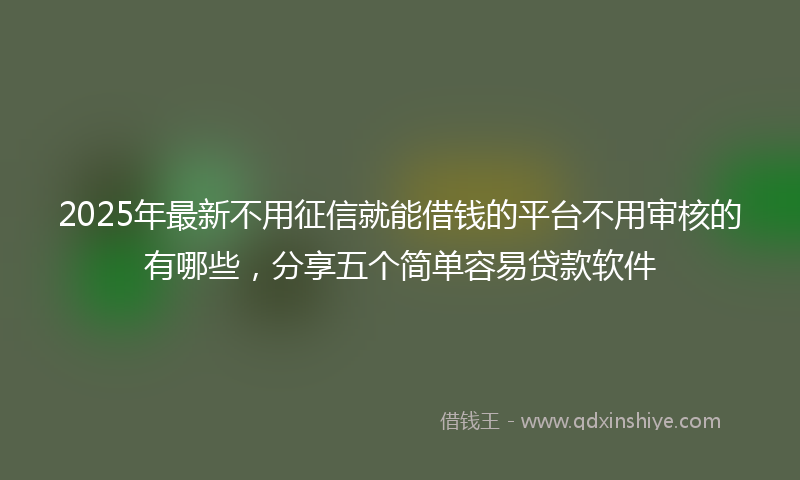 2025年最新不用征信就能借钱的平台不用审核的有哪些，分享五个简单容易贷款软件