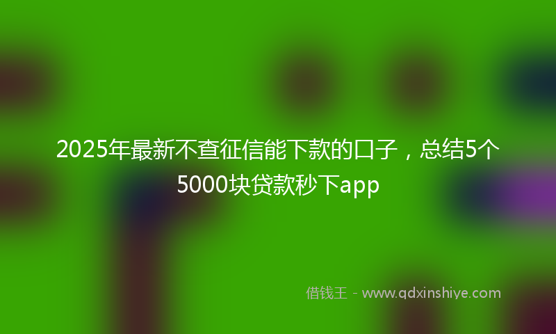 2025年最新不查征信能下款的口子，总结5个5000块贷款秒下app