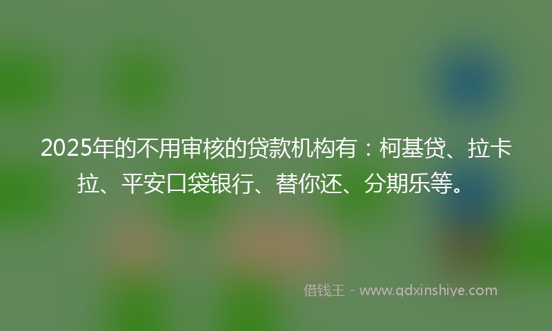 2025年的不用审核的贷款机构有：柯基贷、拉卡拉、平安口袋银行、替你还、分期乐等。