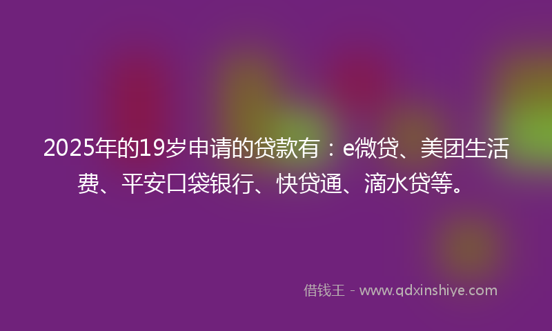 2025年的19岁申请的贷款有：e微贷、美团生活费、平安口袋银行、快贷通、滴水贷等。
